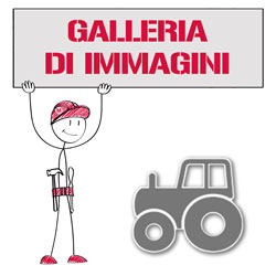 Galleria di immagini