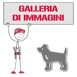 Galleria di immagini