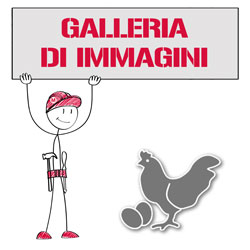 Galleria di immagini