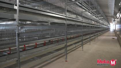 MKGZARMAI18-aviario-nave-metalica-modular-recria-MEKANAVES