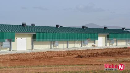 MKGZARMAI20-nave-ganadera-para-pollos-engorde-MEKANAVES