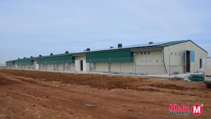 MKGZARMAI21-nave-avicola-para-pollos-zaragoza-MEKANAVES