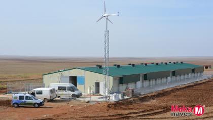 MKGZARMAI22-nave-ganadera-economica-recria-pollitas-MEKANAVES